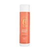 Curly Angels | Absolution Shampoo /ab 100ml