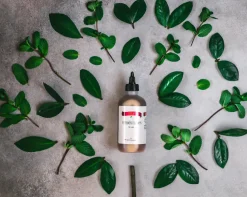 Ecoslay | Peppermint Schnapps /59ml