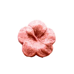 Kalia Nature | Festes Hibiscus Shampoo /60g