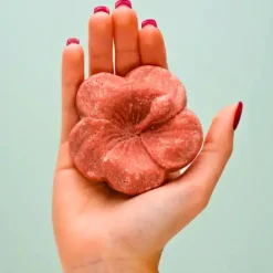 Kalia Nature | Festes Hibiscus Shampoo /60g
